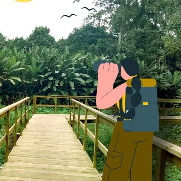 Solicitud de autorización de toma de fotografías y vídeos en sitios de patrimonio Parque Arqueológico de Copán