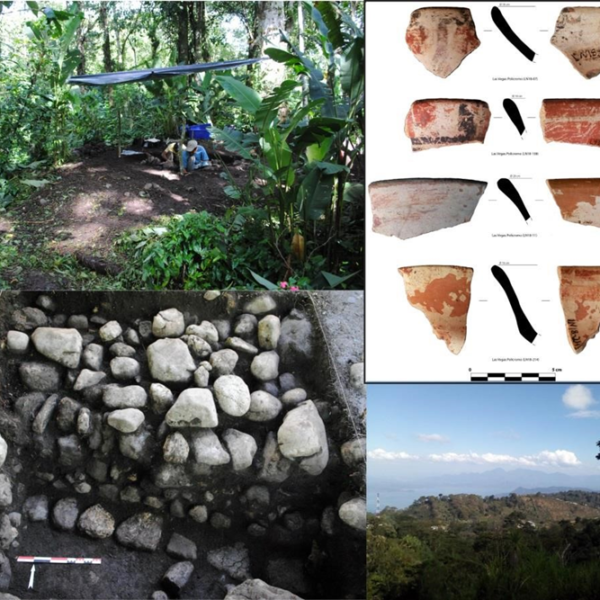 Proyecto Arqueológico Regional Yojoa-Los Naranjos, Santa Cruz de Yojoa, Cortés, y Las Vegas, Santa Bárbara, Honduras (PARYNA)